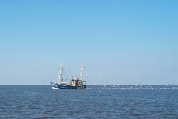 Nonnenganshauser Friedrichskoog Exteriér fotografie